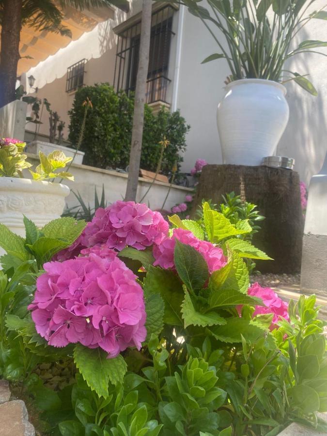 Casa Los Encinares Córdoba Buitenkant foto
